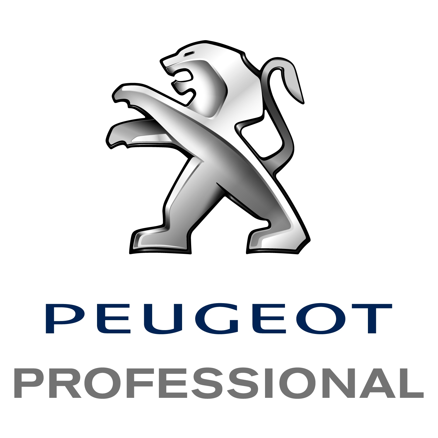 Peugeot Logo Peugeot Professional - QUADRATO